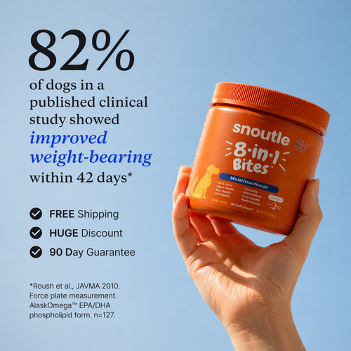 8-in-1 Joint & Mobility Soft Chews for Dogs