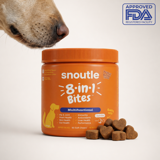 8-in-1 Joint & Mobility Soft Chews for Dogs